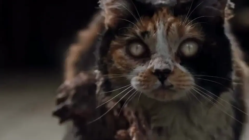 Pet Take zombie love story AI video example